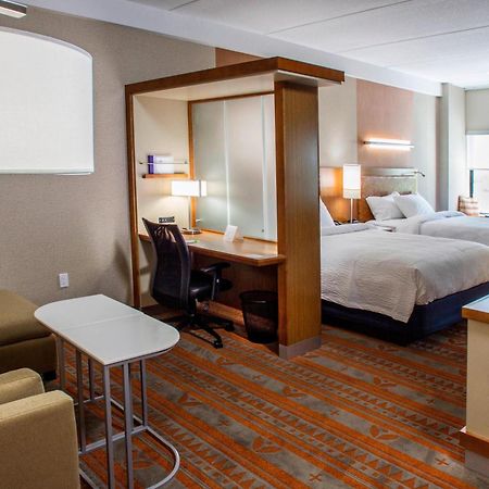 Springhill Suites By Marriott דדווד מראה חיצוני תמונה