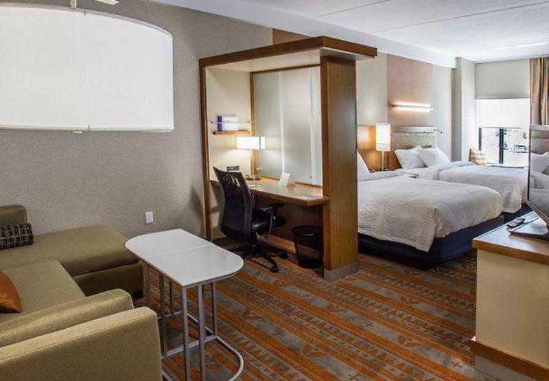 Springhill Suites By Marriott דדווד מראה חיצוני תמונה