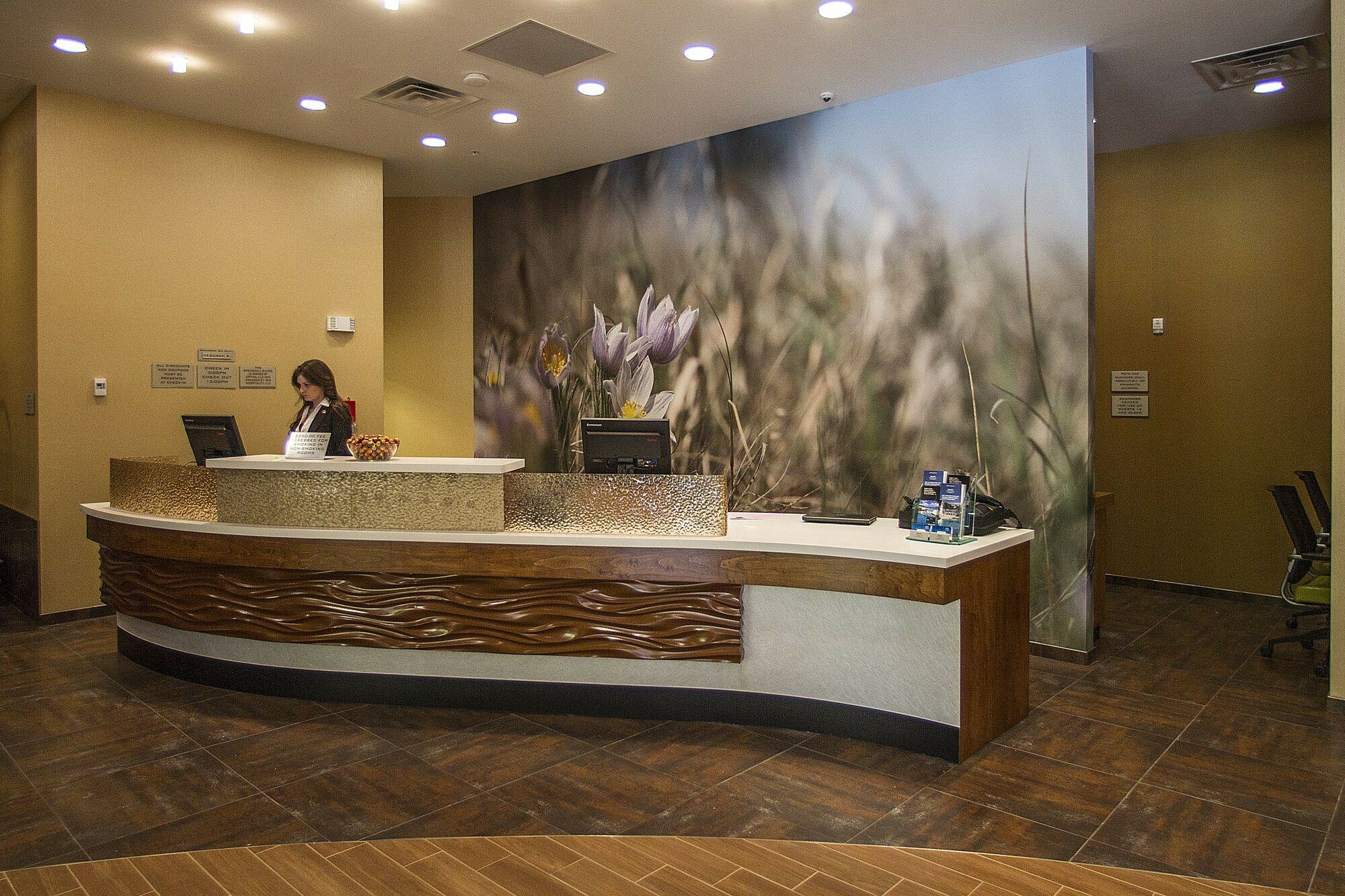 Springhill Suites By Marriott דדווד מראה חיצוני תמונה